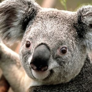 Meet your Posher, Clare